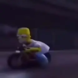 Homer 