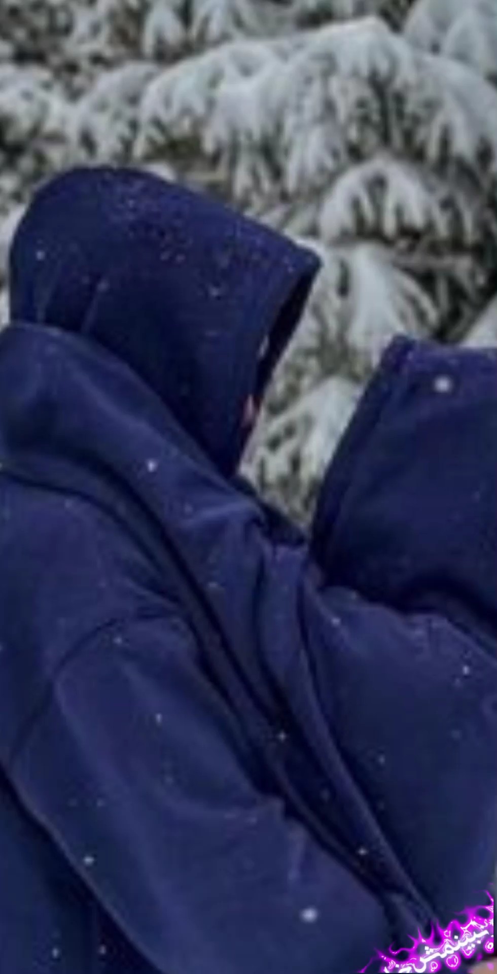 اگر نبینمش خرابم