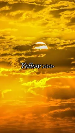 Yellow Aesthetic 