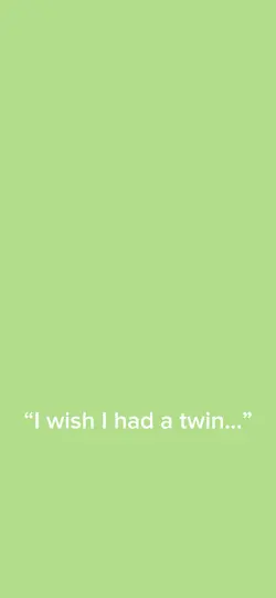 wish I had a twin 