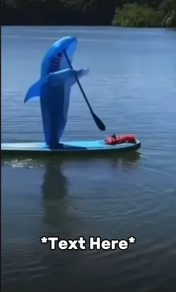 Shark meme