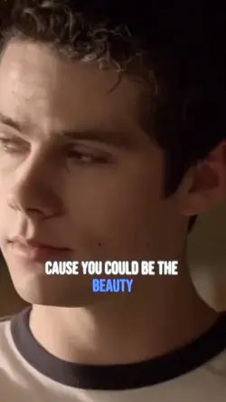stiles/void