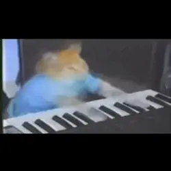 Cat plays piano