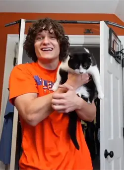 Cat pull up