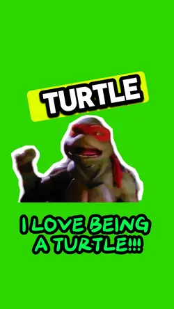 Love being a TURTLE!