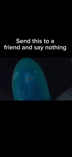 No brain 🧠