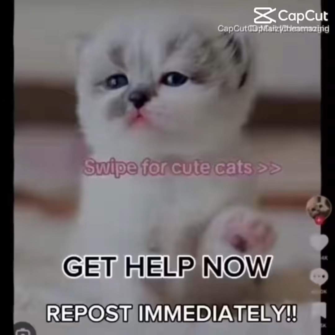 He's back 😭😭😭