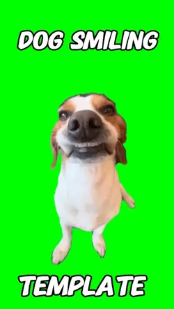 Dog Smiling Meme 