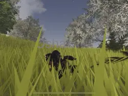 Jumpie