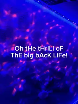 BiG bAcK lIfe!