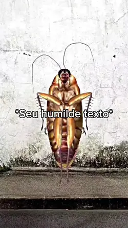 barata