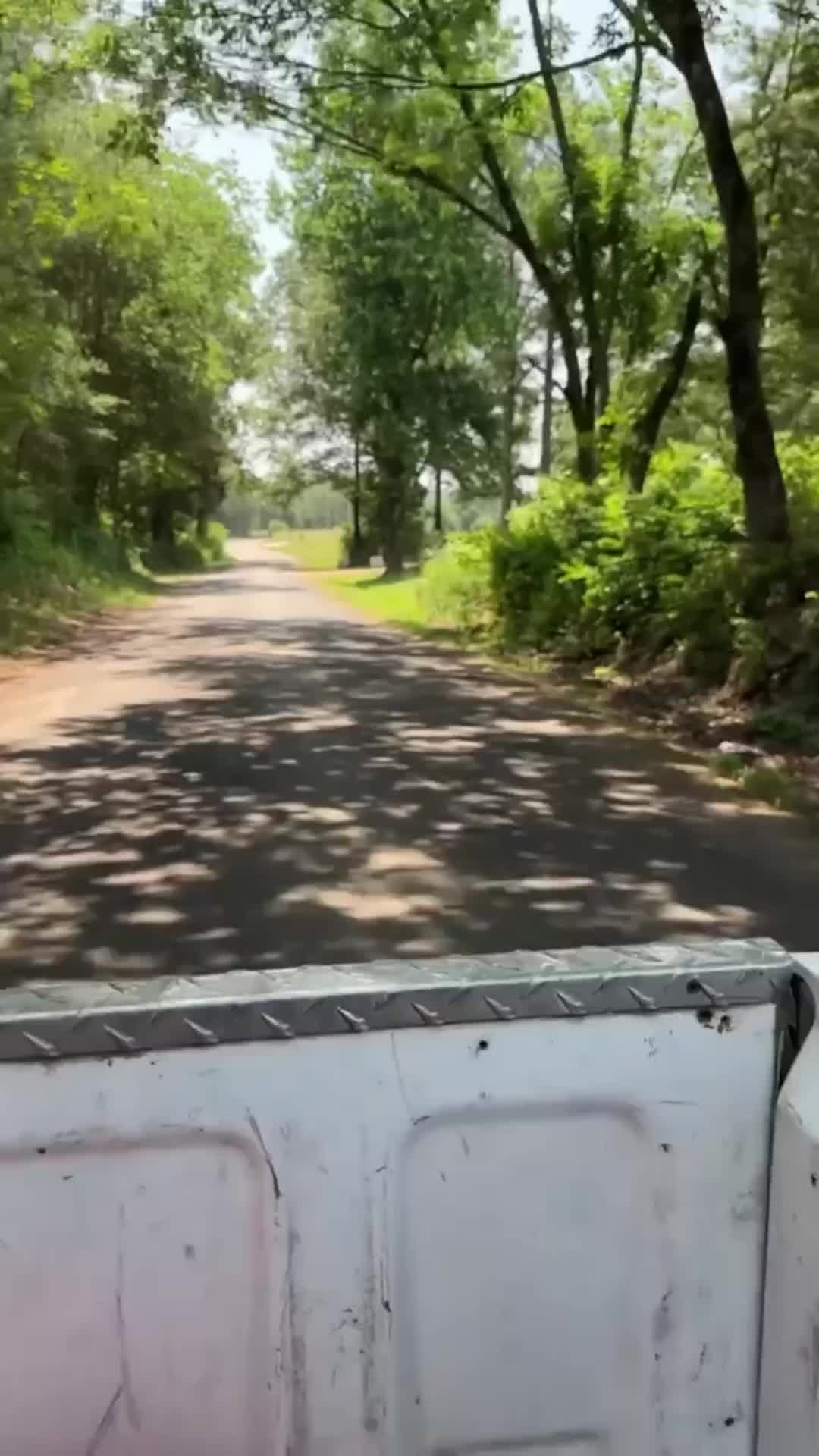 hand transition 