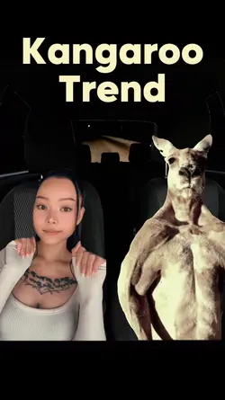Kangaroo Meme