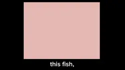 i want this fish 🥹