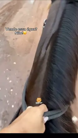 🙂↔️