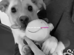 you are the only....