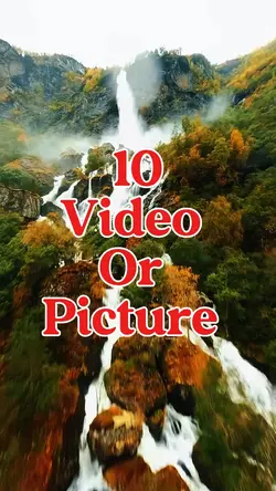 10 video or picture 