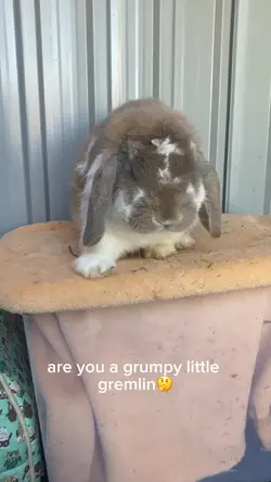 R u grumpy? 