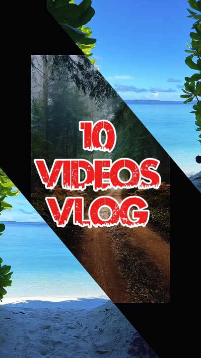 10 video or picture 