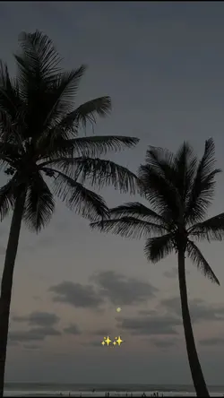 paisagem