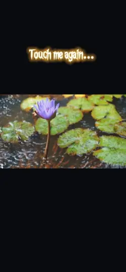 Rain-Sleep Token