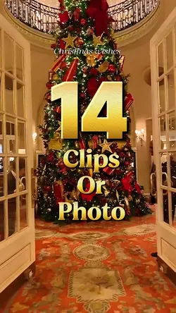 14 clips or photo