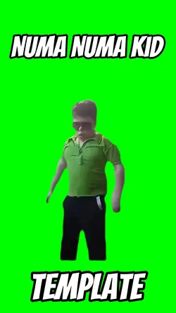 Numa Numa kid