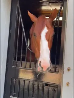 Justify 👑👑👑🔥