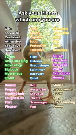 What animal are u???