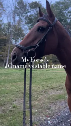 JC name vs stable 