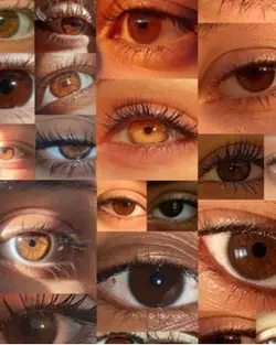 brown eyes>>>>