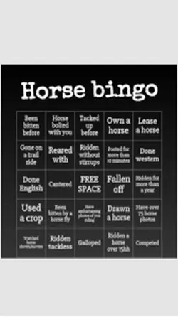 Horse bingo ❤️🐴