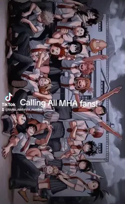 CALLING MHA FANS!!