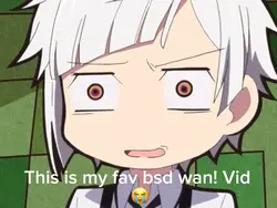 Bungo stray dogs wan