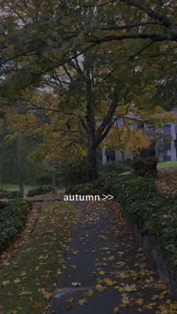 Autumn Feels Like