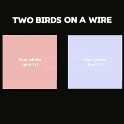 Two birds on a wire