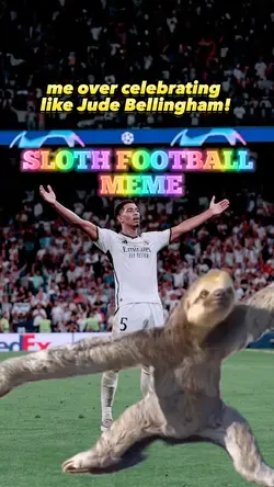 Sloth football meme🦥