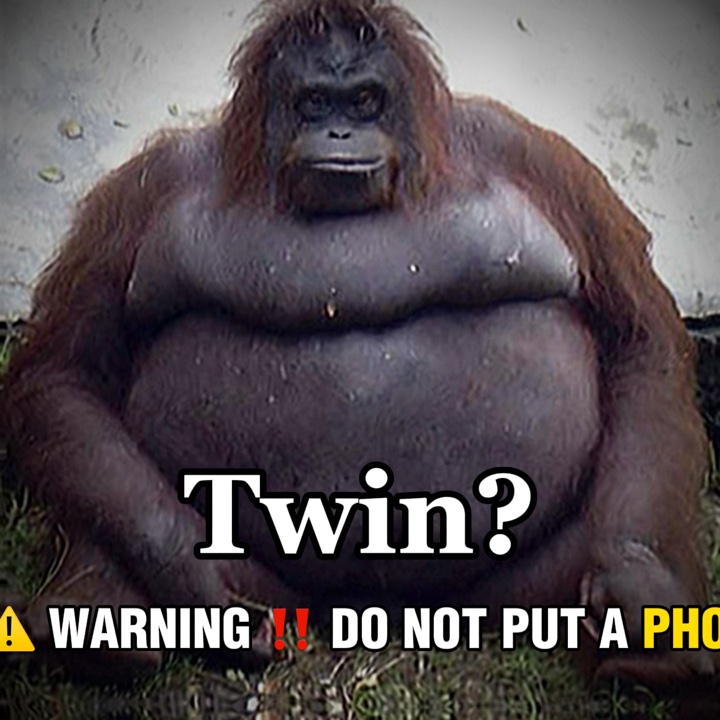Fat Twin 😈☠️