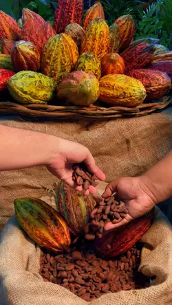 Gastronomia