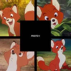 tod and copper 🦊🐶 