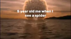 Flash running meme