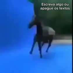 Cavalo