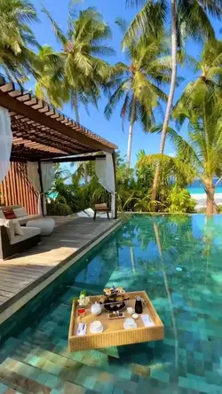 New Trending Templat