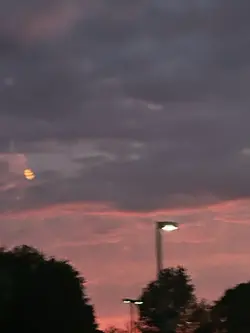 Thank you for 20 🎉