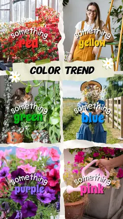 something color 🌈 