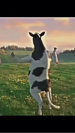 FIRST OF DA MONTH‼️