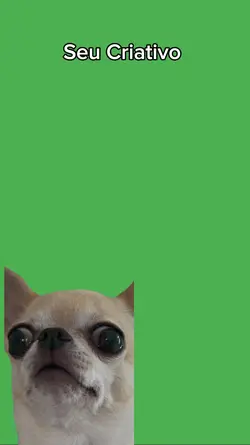 espanto dog