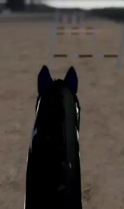 ❤️❤️Royal❤️❤️