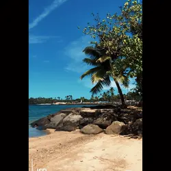 Beach Days