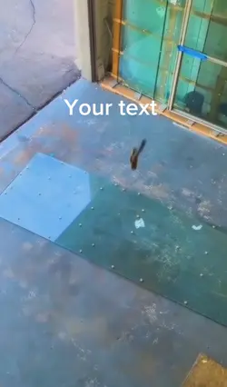 ELEMENT OF SURPRISE